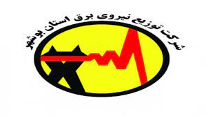 arvinrs.com,آروين رايان سيستم,استقرار نرم افزار  حسابداری تعهدی بخش عمومی در شرکت توزیع نیروی برق استان بوشهر